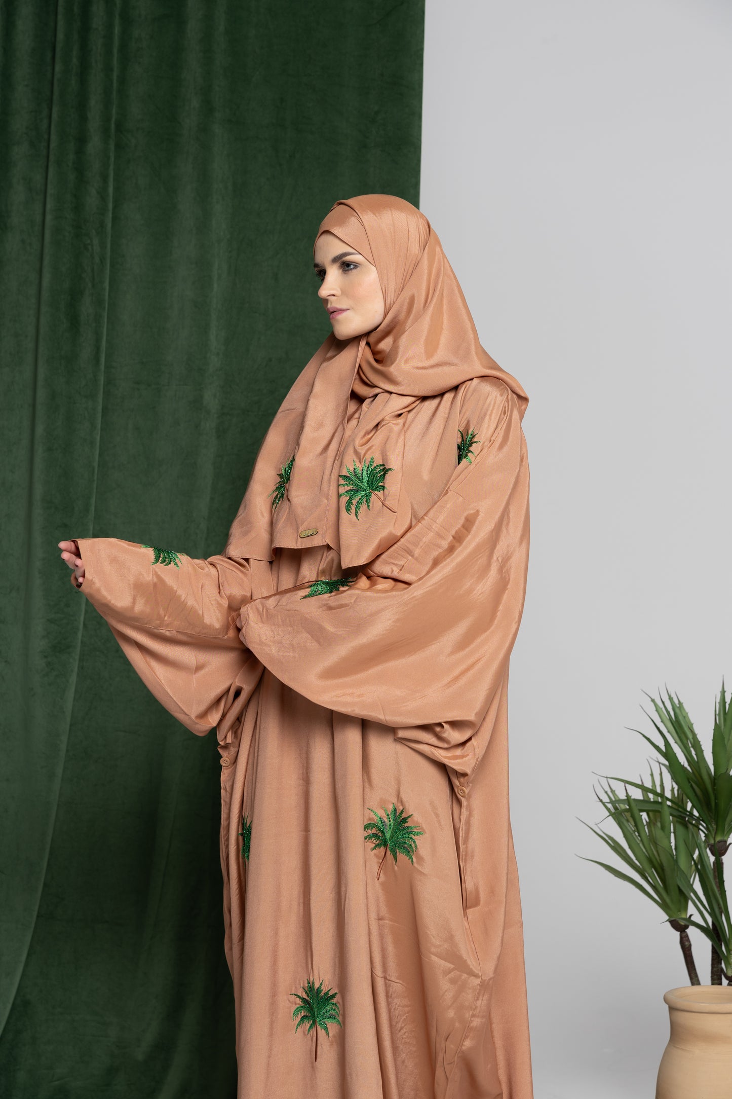 الرمل - شيلة