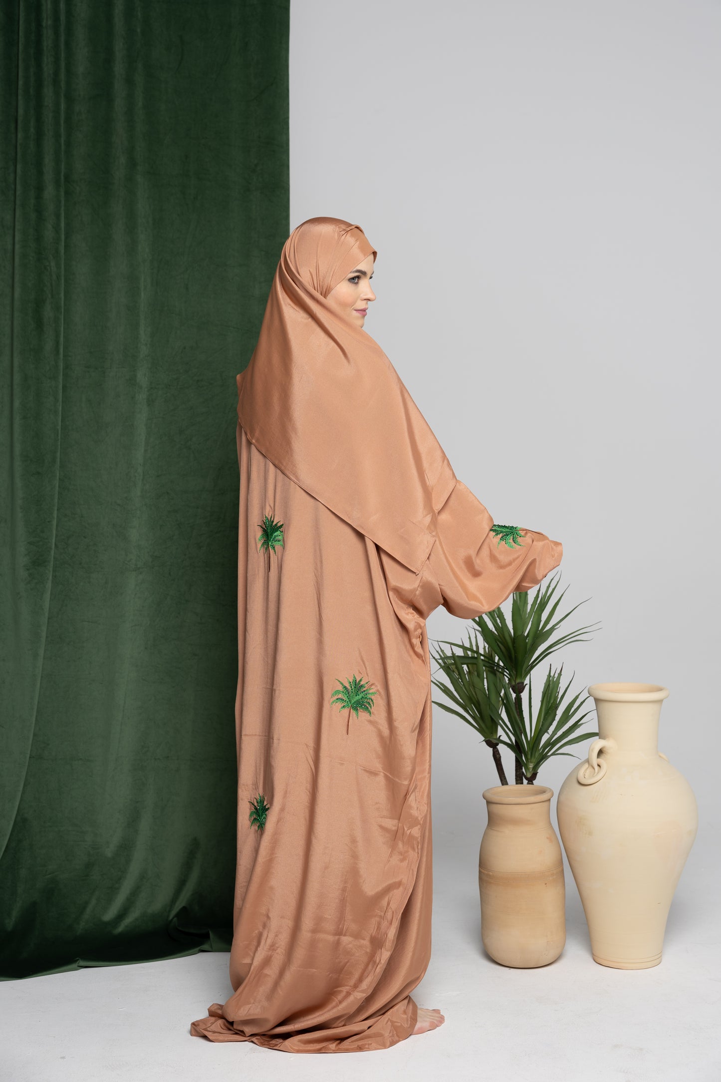الرمل - شيلة